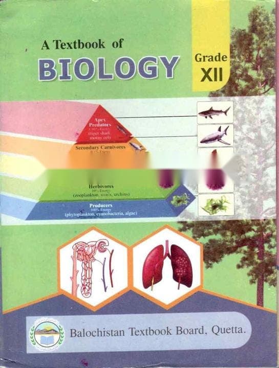 BTB Biology 12 — front cover
